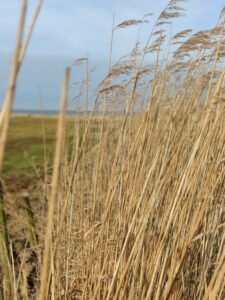 ZuHause am Meer: Förderung für Erholung und Mehr in Duhnen