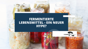 Home 1 Ferment Effect - Fermentation Lebensmittel